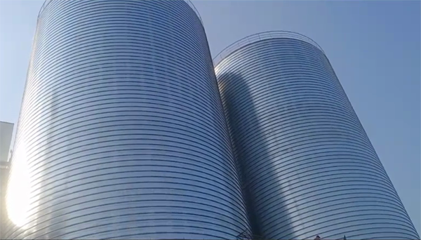 濉溪2座混凝土高架卷板仓